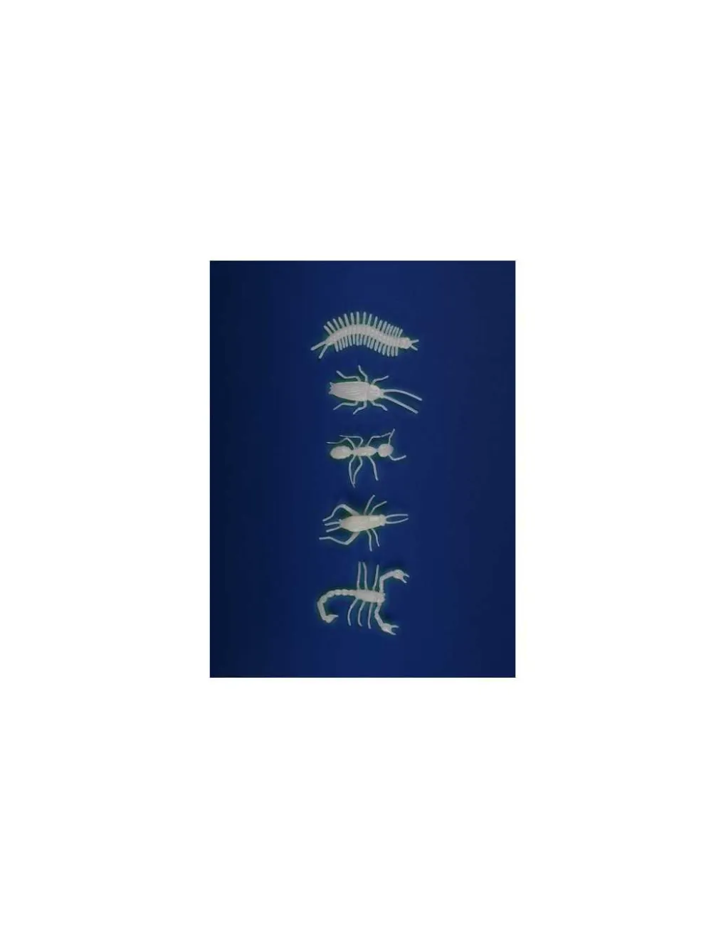 Moulin Roty 5 insectes phosphorescents - Online