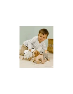 Little Big Friends Adrien le chien à tirer - Online