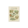 Moulin Roty Affiche Le petit jardin Trois Petits Lapins -
