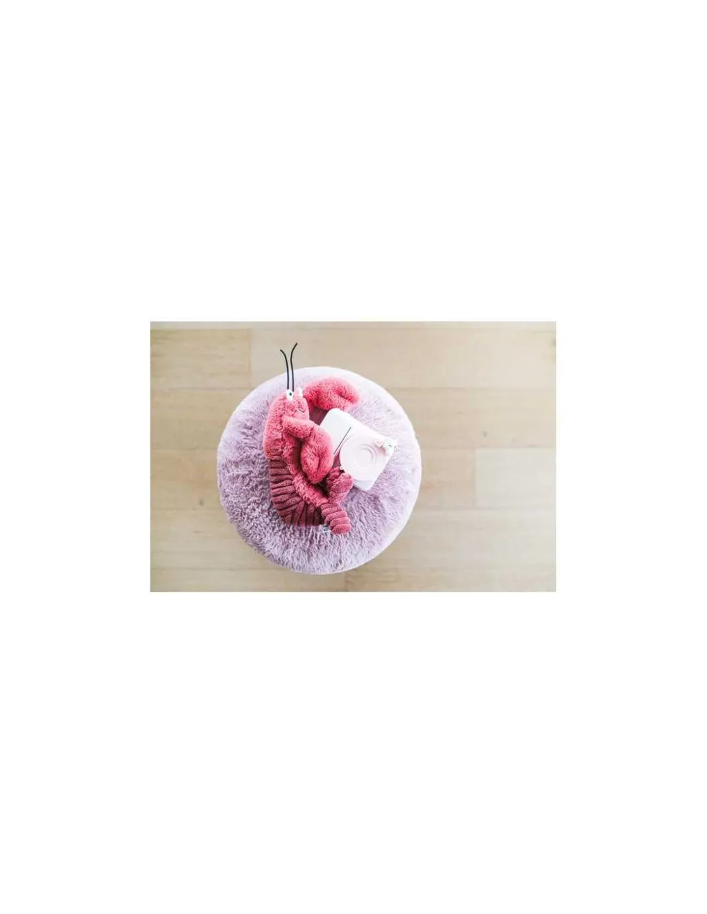 The Zoofamily Appareil photo Licorne Zoo Print - Discount