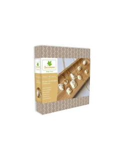 Sycomore Atelier de bijoux ciment et feuilles d'or - Discount