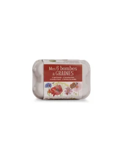 Moulin Roty Boîte à oeufs 6 bombes à graines Le jardin du Moulin - Discount