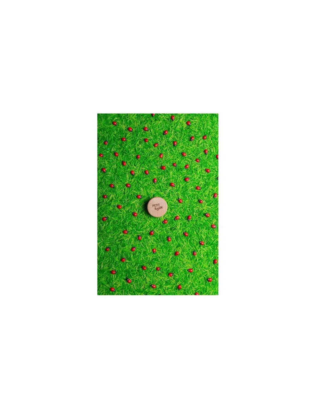 Petit Boum Bouteille sensorielle coccinelles - New