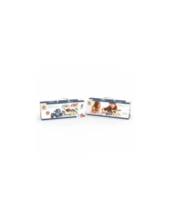 Speedy Monkey Camion transporteur en bois - Discount