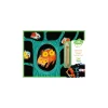 Djeco Cartes à gratter Animaux à découvrir -