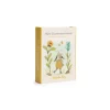 Moulin Roty Cartes Mes 12 premiers mois Trois Petits Lapins - Hot