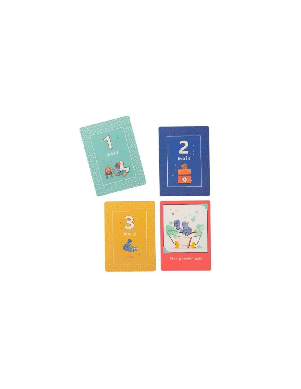 Moulin Roty Cartes Mes 12 premiers mois Puce & Pilou -