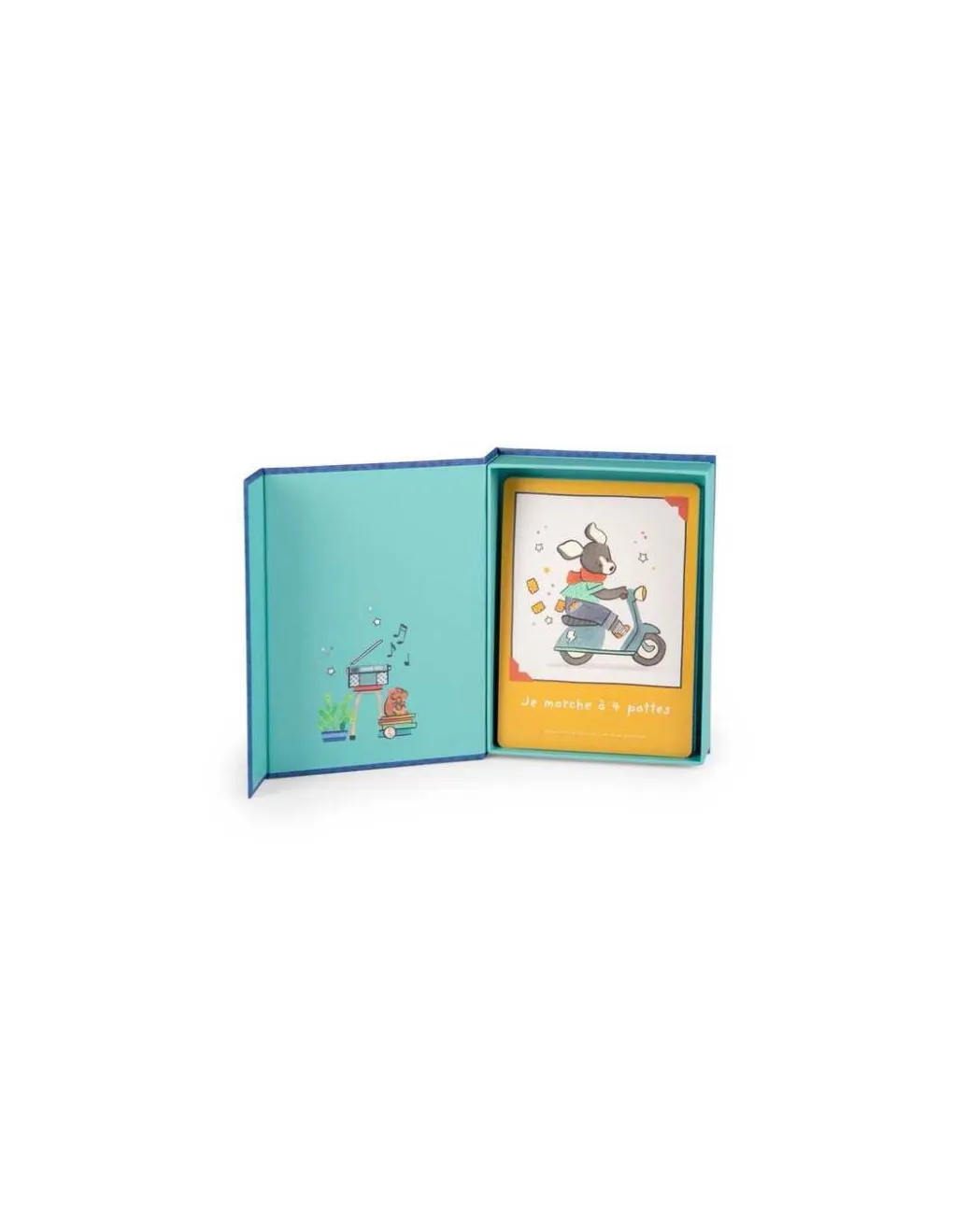 Moulin Roty Cartes Mes 12 premiers mois Puce & Pilou -