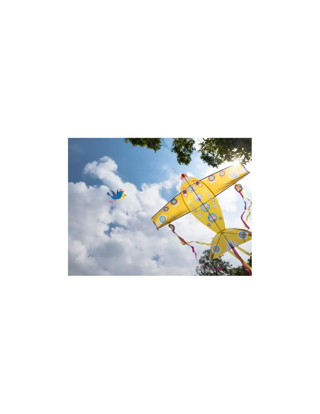 Djeco Cerf-volant maxi plane - Clearance