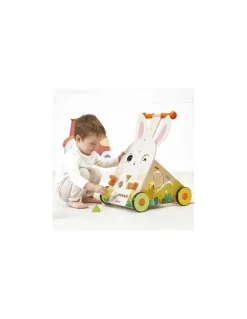 Janod Chariot de marche Lapin -