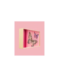 Billes and Co Coffret de 59 billes Papillons Anamorphique - Billes & Co Outlet