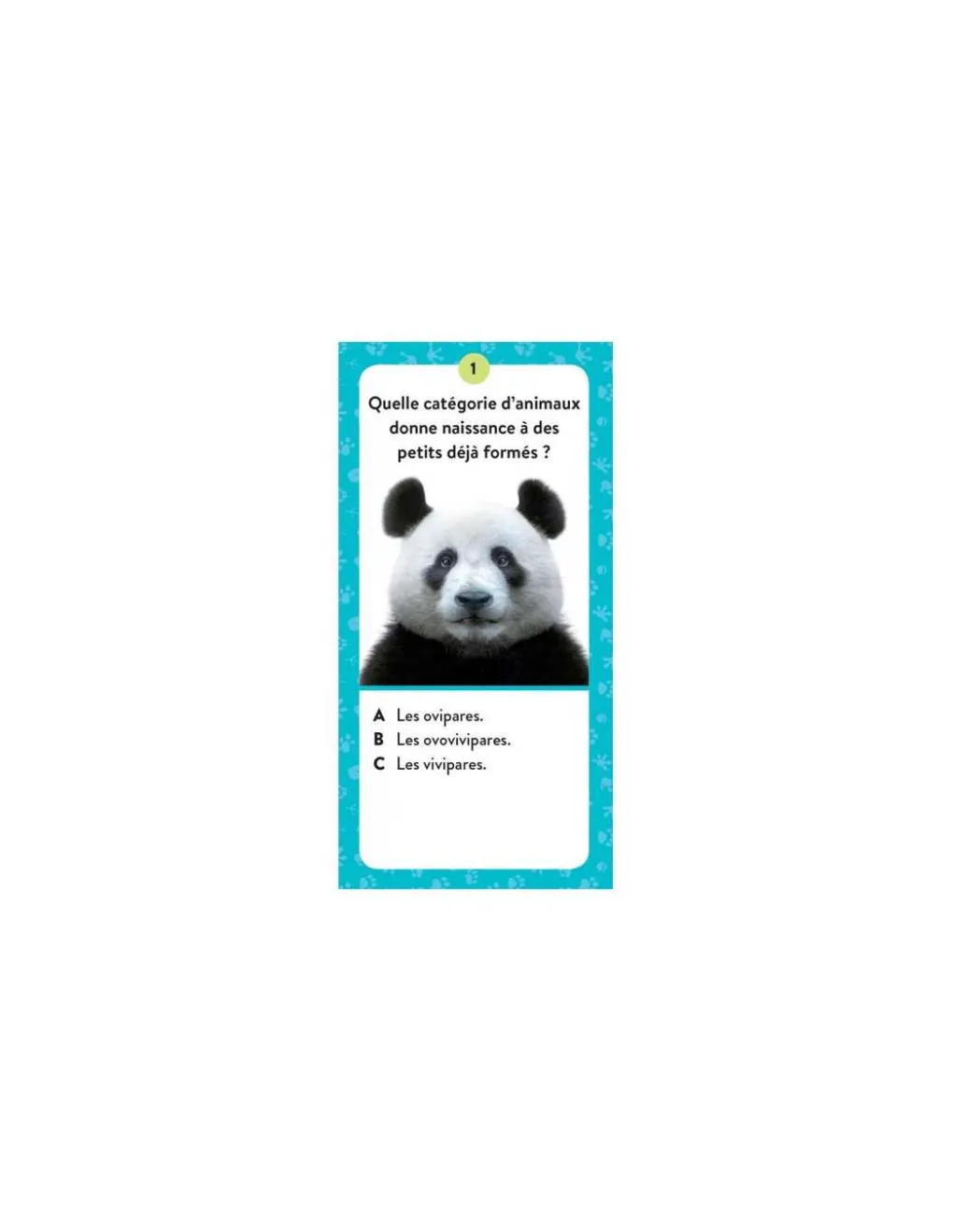 Sassi junior Coffret du méga atlas des animaux - Sassi