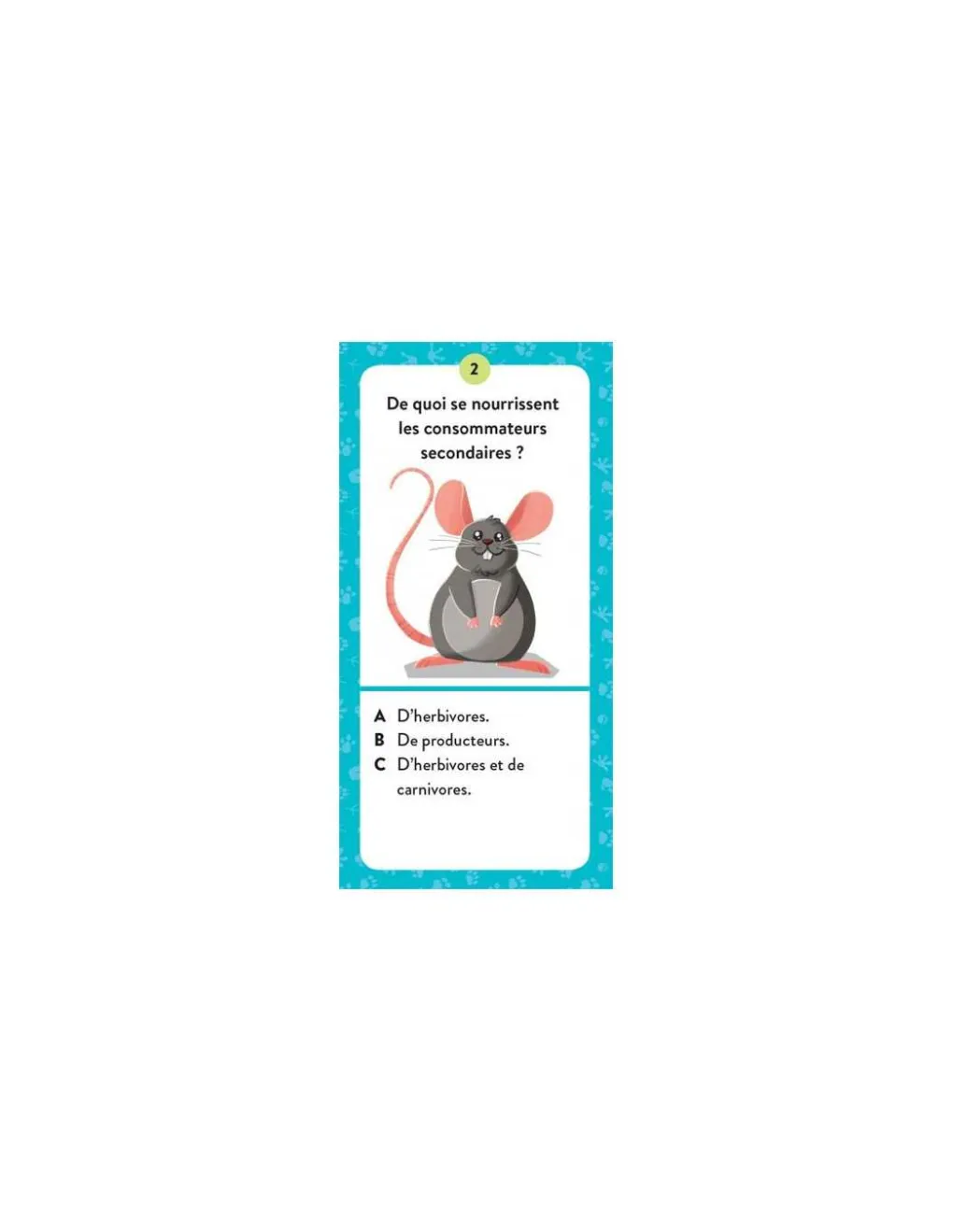 Sassi junior Coffret du méga atlas des animaux - Sassi