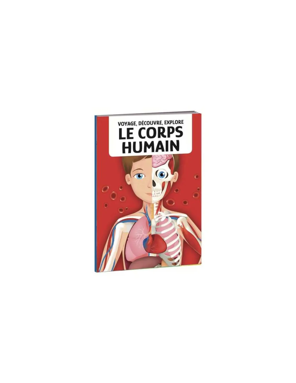 Sassi junior Coffret livre et puzzle Le Corps Humain - Sassi