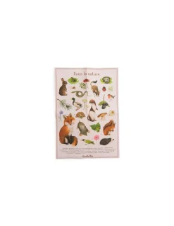 Moulin Roty Découverte des animaux du jardin Le Jardin du Moulin - Discount