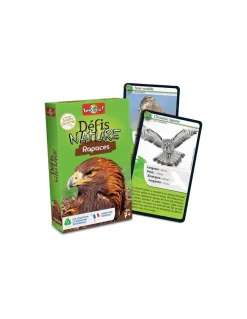 Bioviva Défis nature rapaces - New