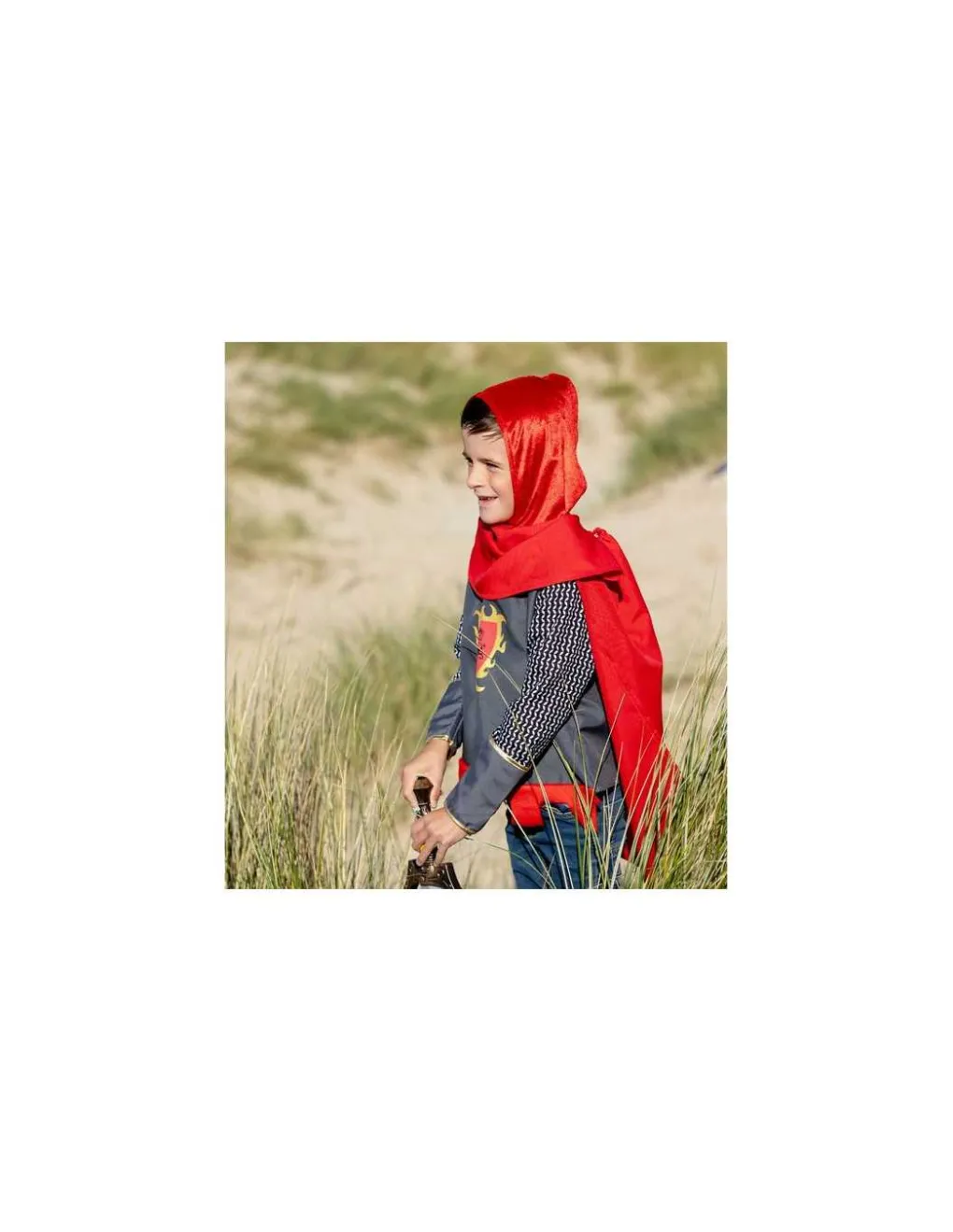 Labay Déguisement chevalier Perceval 5-7 ans - Sale
