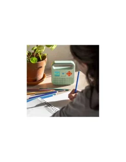 Merlin Enceinte Clearance