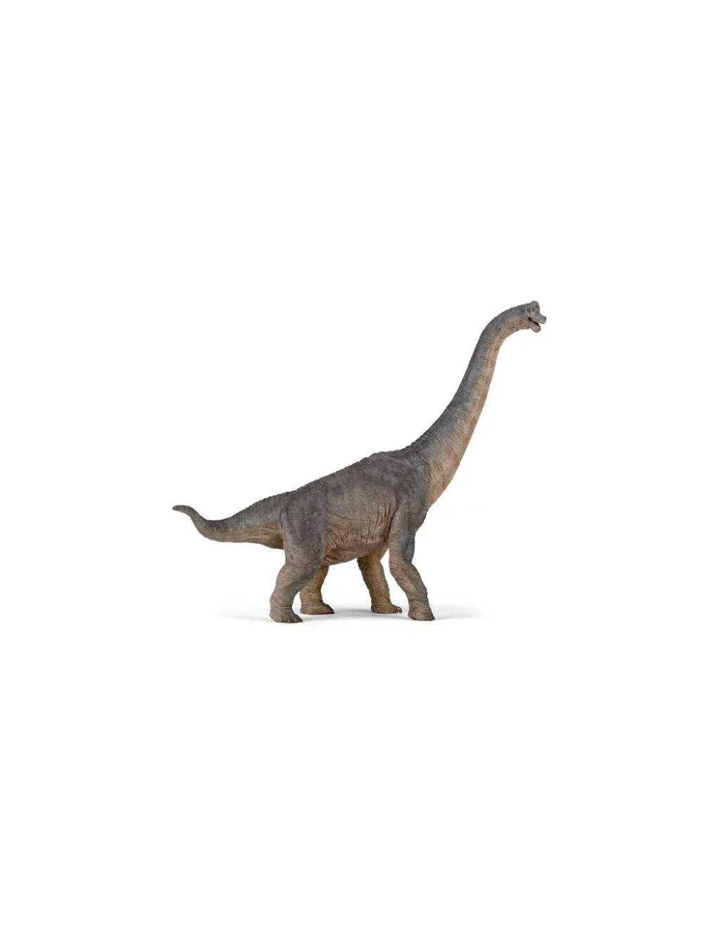 Papo Figurine dinosaure brachiosaure - New