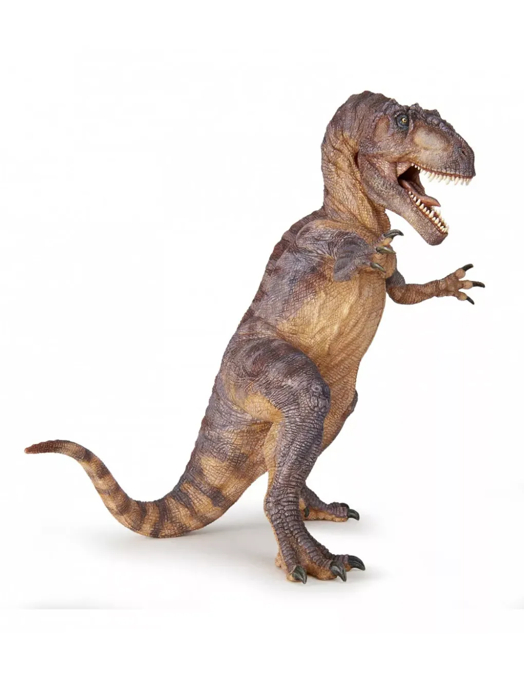 Papo Figurine dinosaure giganotosaure - Discount