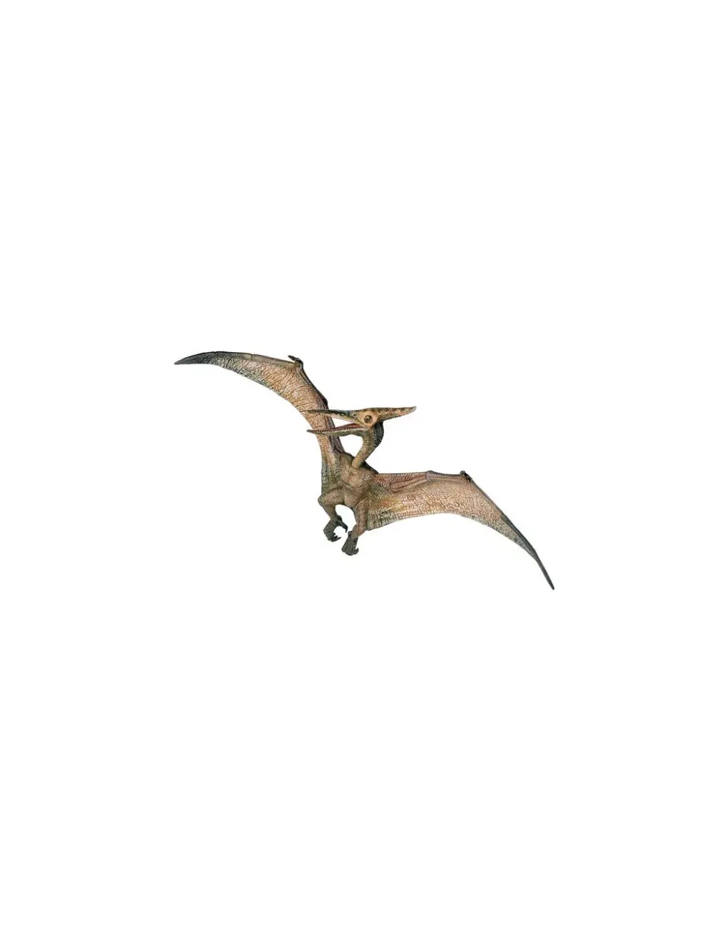 Papo Figurine dinosaure ptéranodon - Hot