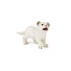 Papo Figurine lionceau blanc - Sale