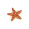 Papo Figurine étoile de mer - Discount