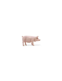 Papo Figurine truie - Online