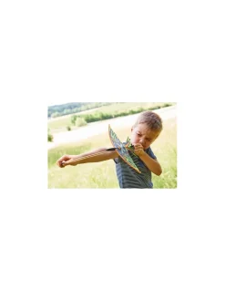 Terra Kids Fronde oiseau - Best