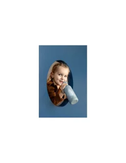 Trixie Grande gourde Requin - Online