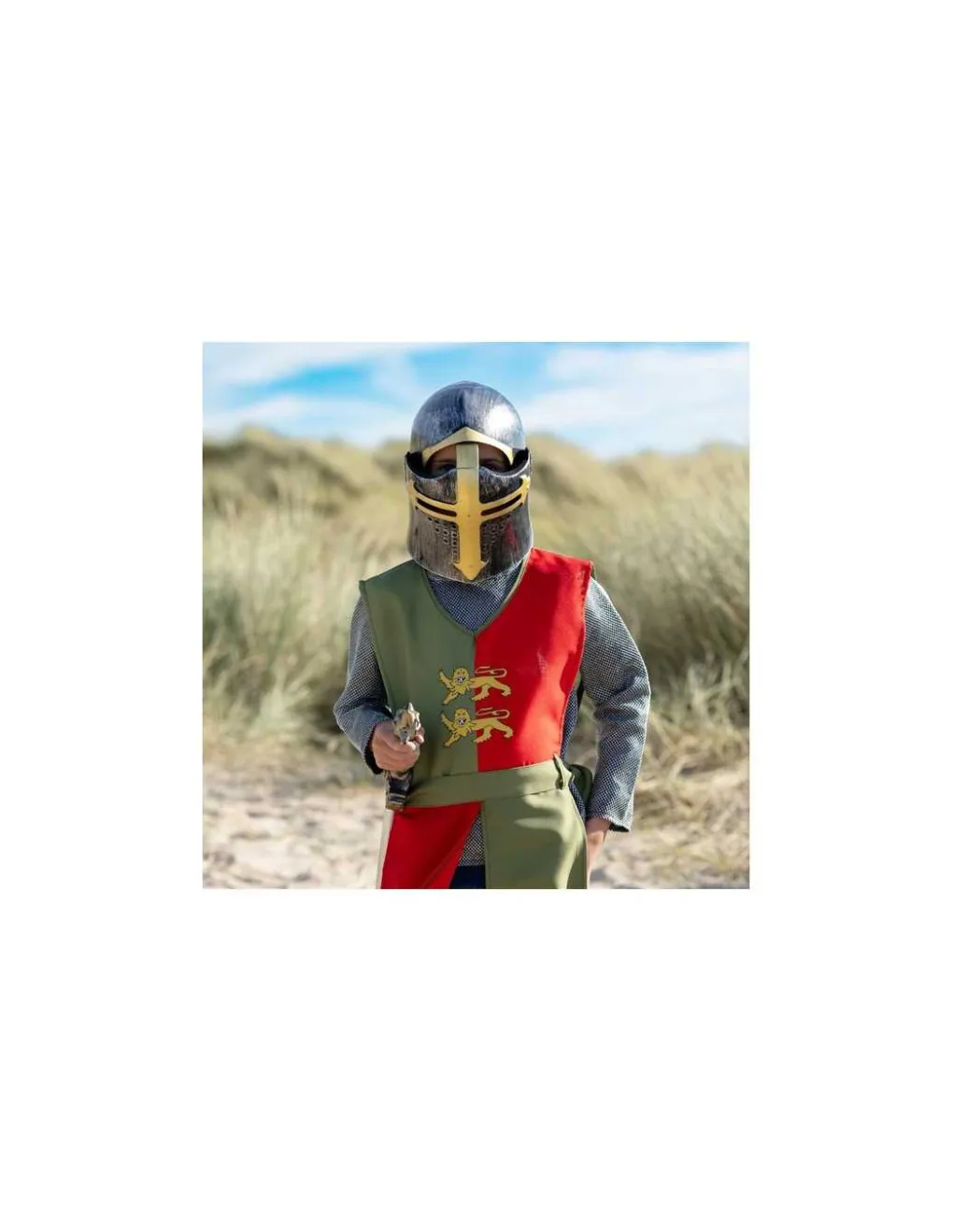 Labay Heaume de chevalier - Online