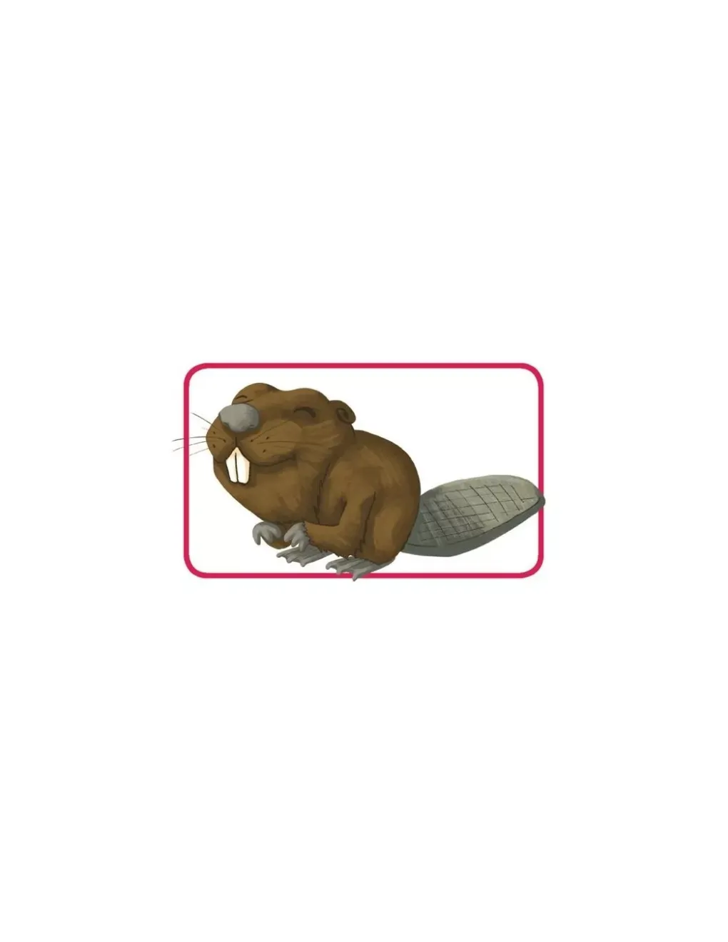 Asmodee Jeu Concept kids animaux Best