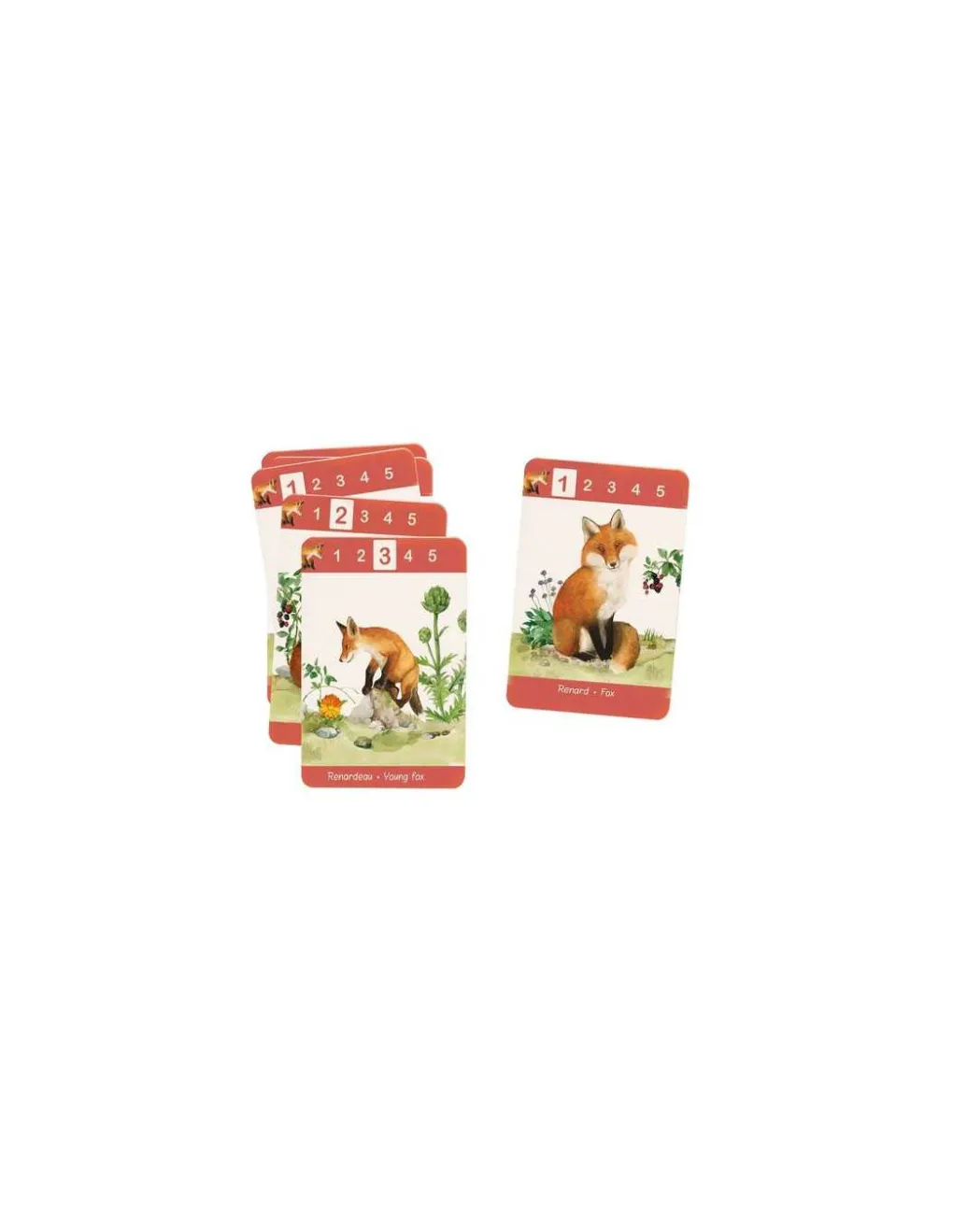 Moulin Roty Jeu de 7 familles Le Jardin -