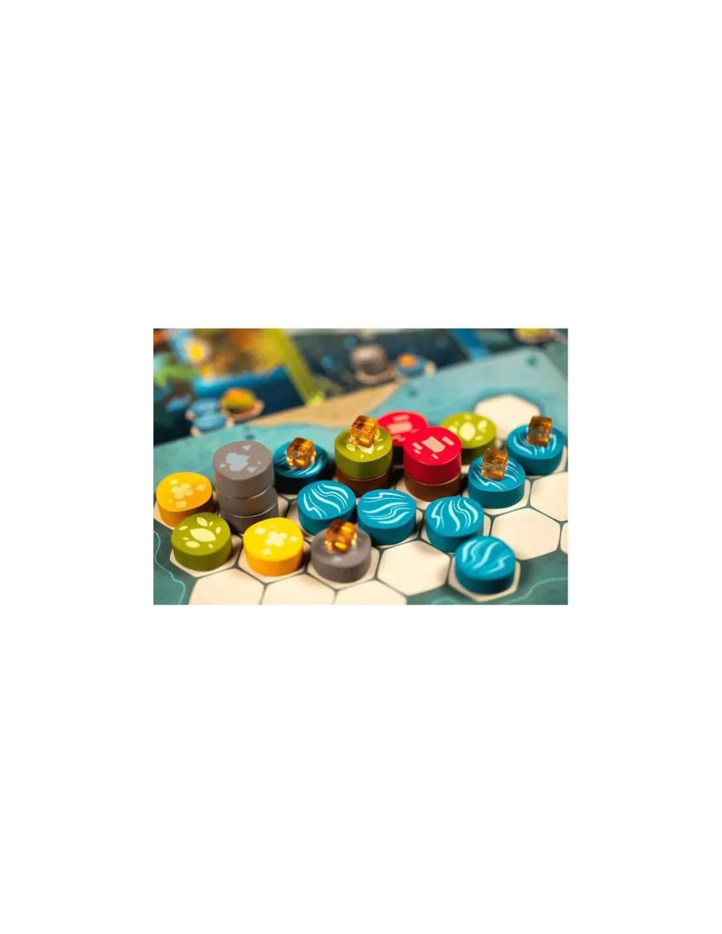 Libellud Jeu Harmonies Discount