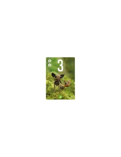Asmodee Jeu Pixies - Bombyx Discount