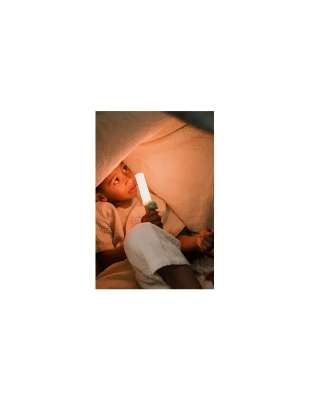 The Zoofamily Lampe 3-en-1 Zoo Light Dinosaure - Sale