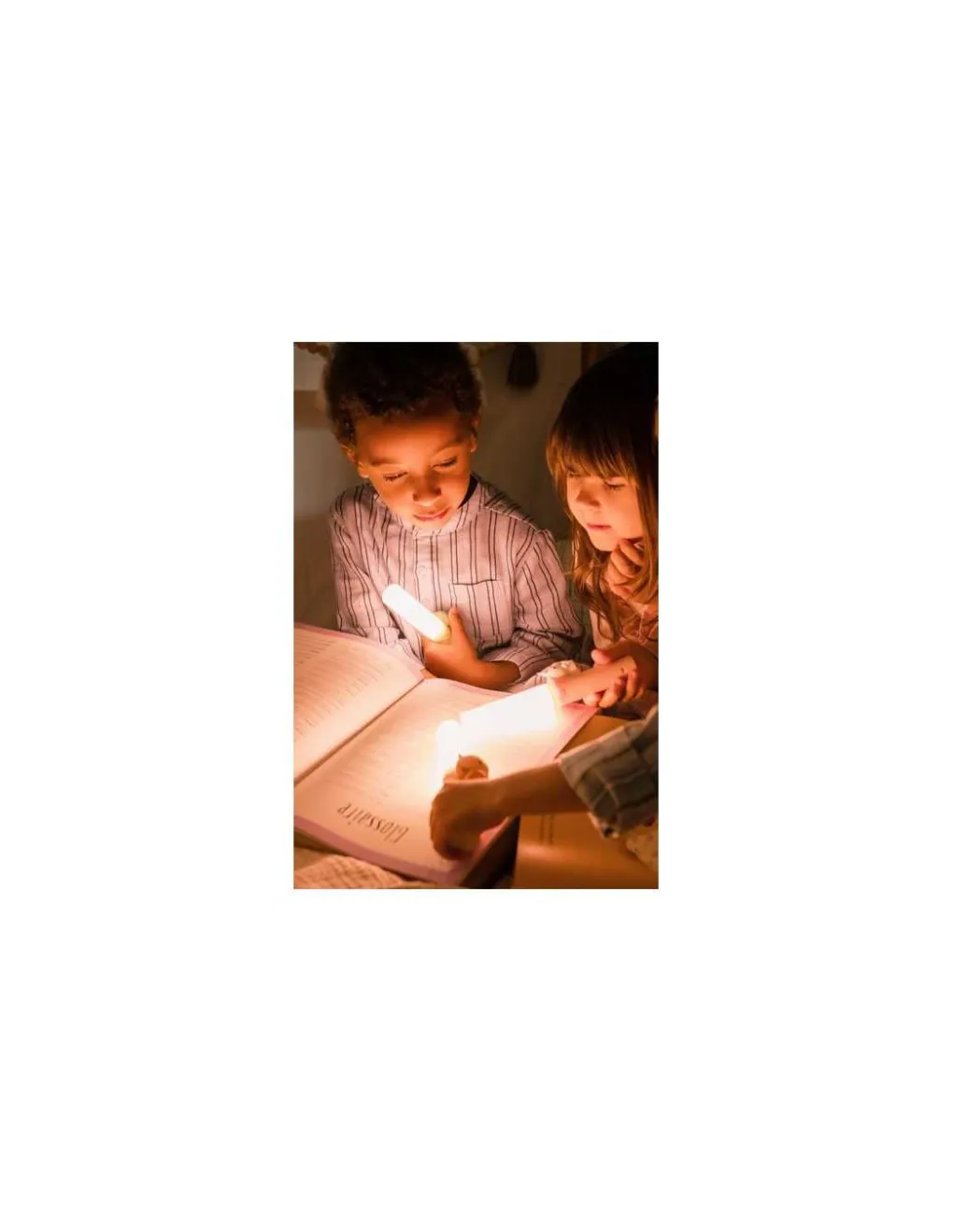 The Zoofamily Lampe 3-en-1 Zoo Light Renard - Best