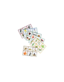 Moulin Roty Le loto de la nature - New