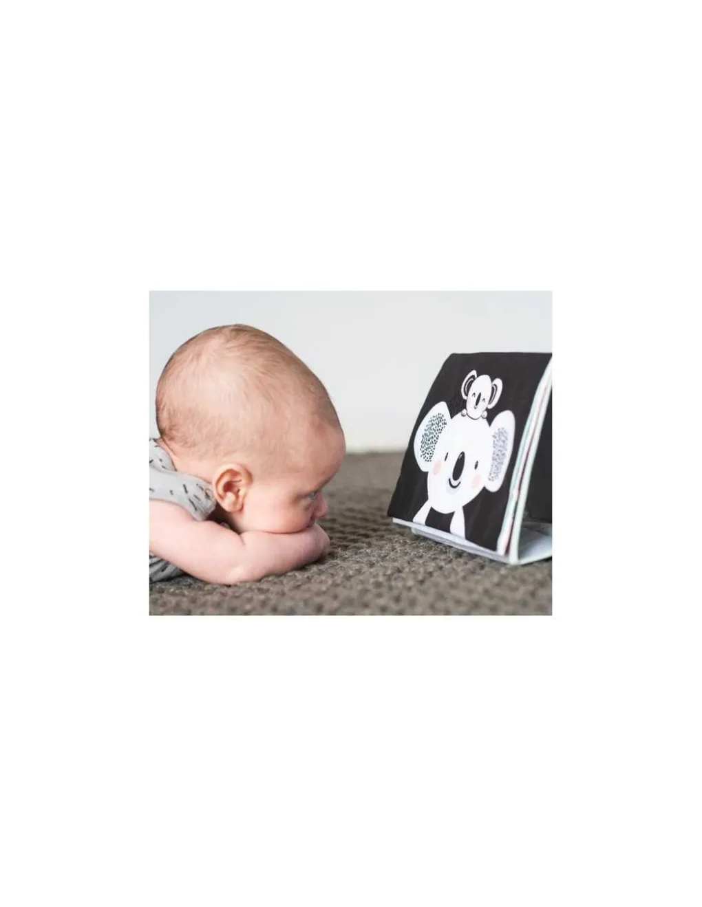 Taf Toys Livre chevalet Koala Hot