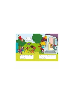 Auzou Livre Les Héros de 1re Primaire niveau 2 - Joyeux anniversaire ! - Discount