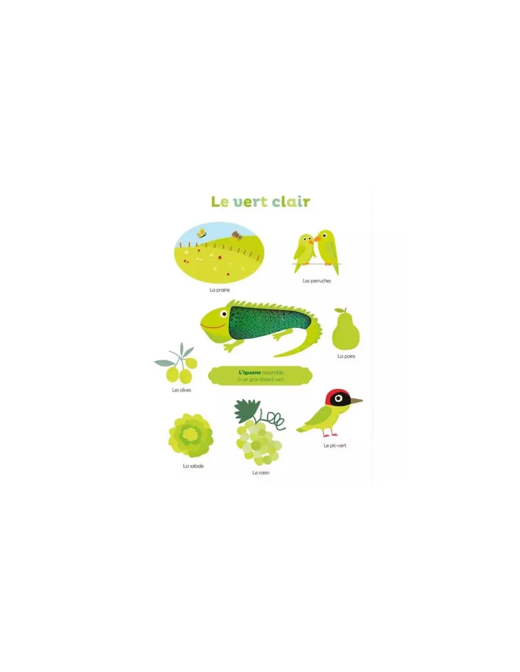 Auzou Livre Mes premières couleurs à toucher - Sale