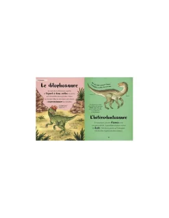 Auzou Ma première anthologie des dinosaures - Online