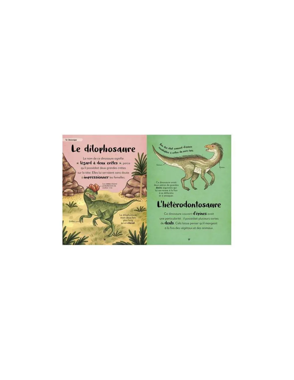 Auzou Ma première anthologie des dinosaures - Online