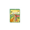 Auzou Ma première pochette d'aimants dinosaures - Outlet
