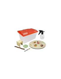 Buki France Maison des escargots - Buki Online