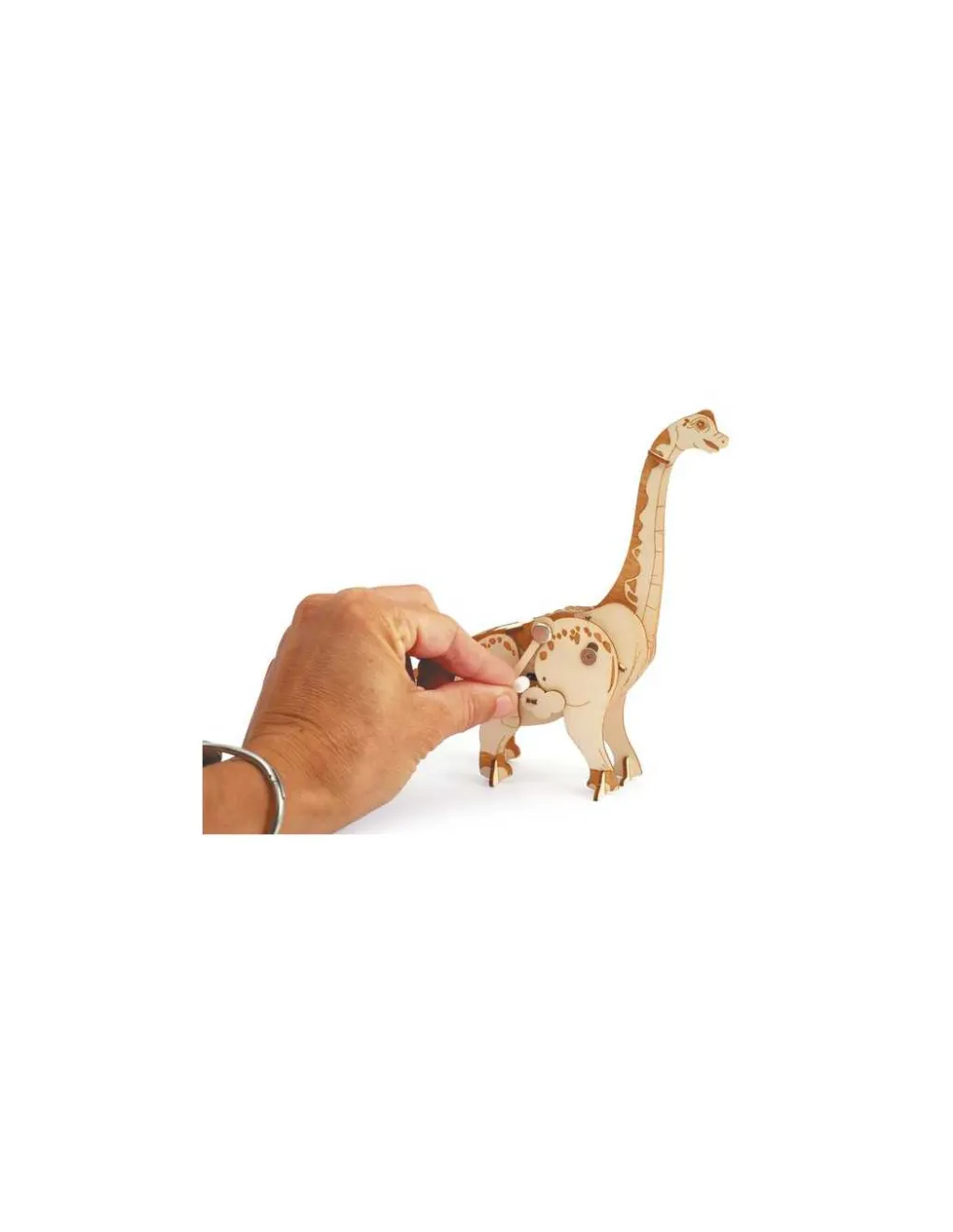 Graine Creative Maquette 3D mécanique Diplodocus - Graine Créative Outlet