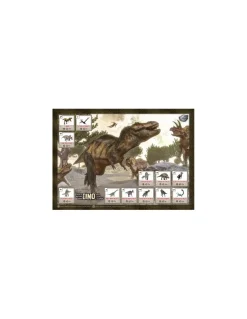 Buki France Maxi pack Dino à deterrer - Buki Best