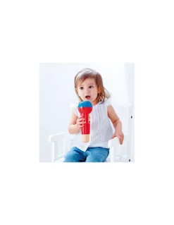 Hape Toys Micro à résonance - Hape Best