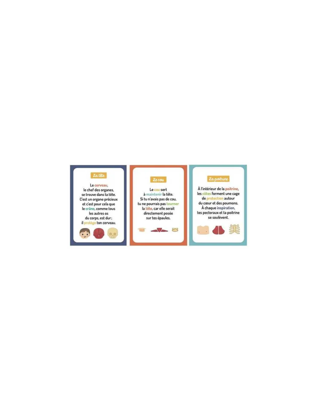Auzou Mon petit coffret aimanté le corps humain -