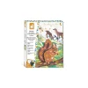 Janod Peinture au numéro animaux de la forêt - Sale